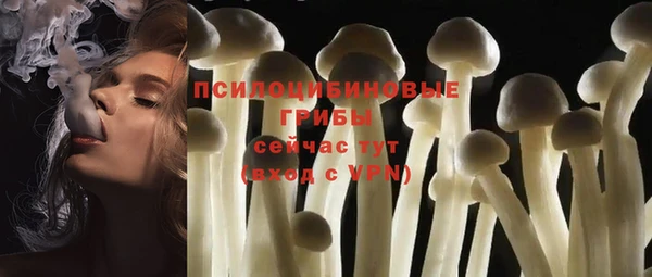 таблы Белоозёрский