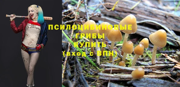 герыч Белокуриха