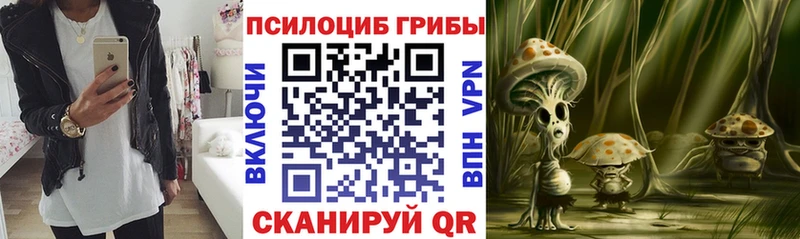 Галлюциногенные грибы Cubensis Пестово